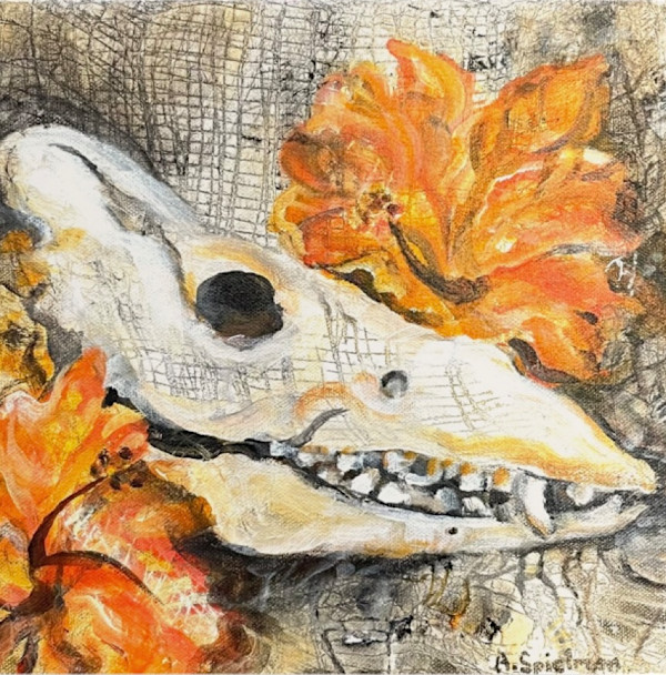 Pig Skull with Hibiscus by Annabel B. Spielman