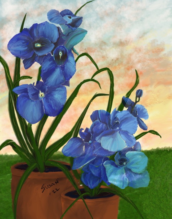 Blue Orchids by Paintings by Susan