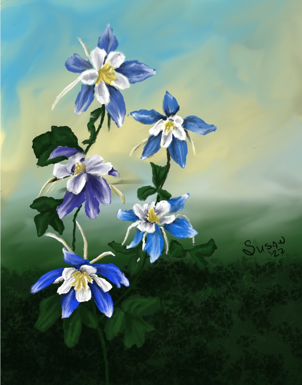 Colorado Columbines by Paintings by Susan