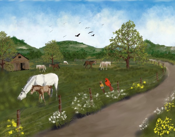 Horse Ranch by Paintings by Susan