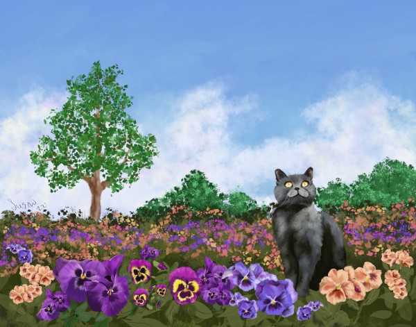 Cat in the Pansies by Susan Reich
