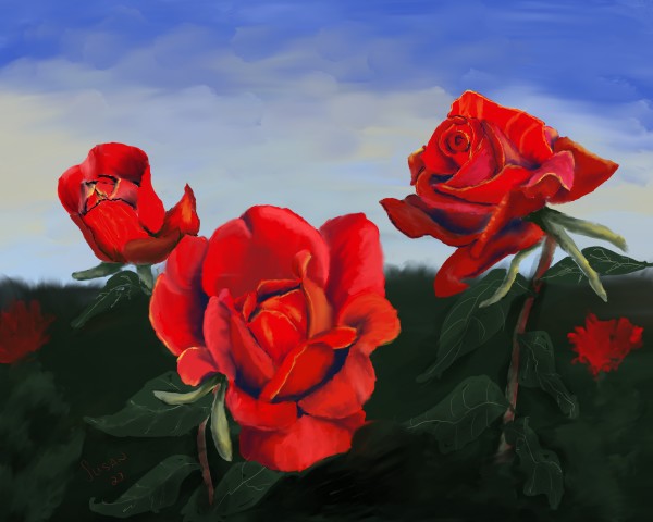 Red Roses by Paintings by Susan