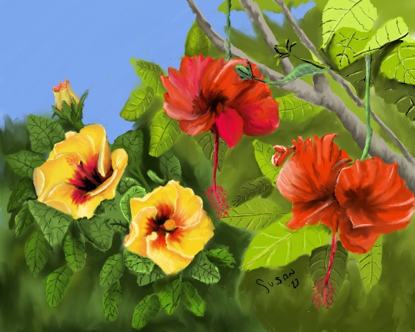 Dueling Hibiscus by Susan Reich