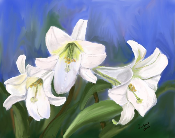 White Lilies by Susan Reich