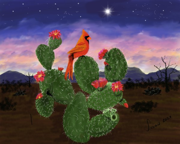 Christmas Cactus by Paintings by Susan