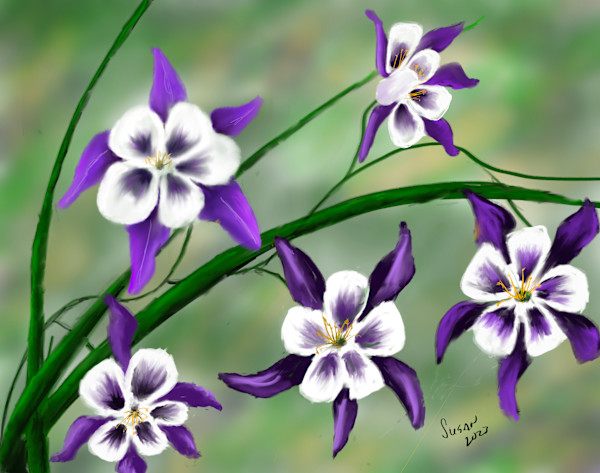 Orchids on the Vine by Susan Reich