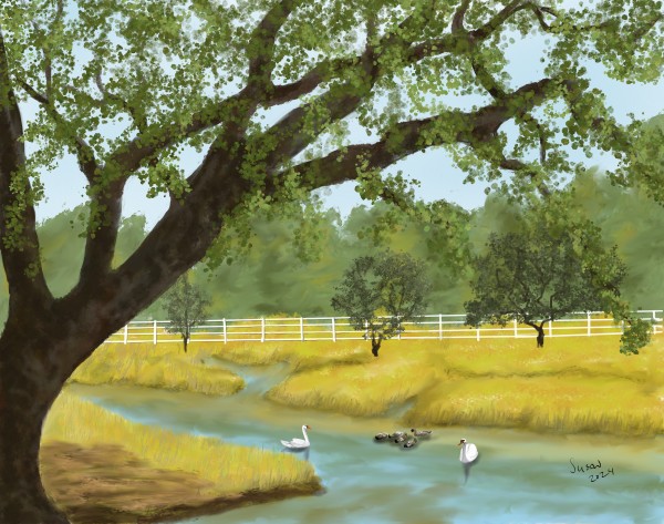 Kerrville Meadow by Susan Reich