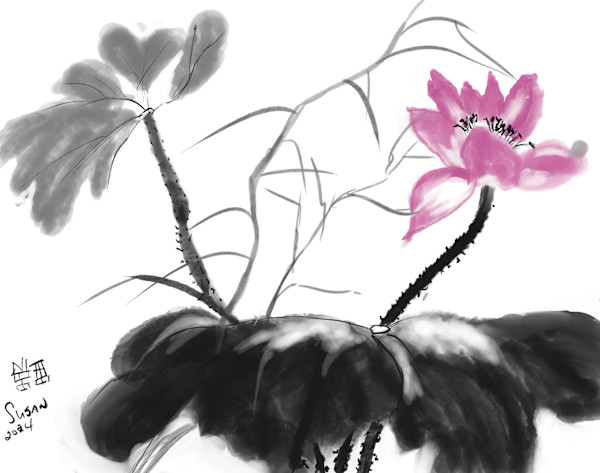 Chinese Lotus by Susan Reich