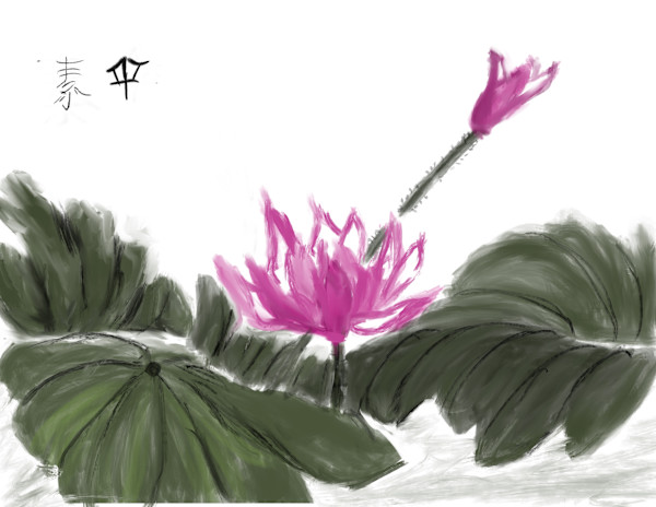 Chinese Water Lily by Susan Reich