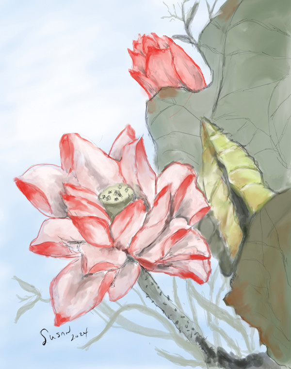 Lotus Blossom by Susan Reich