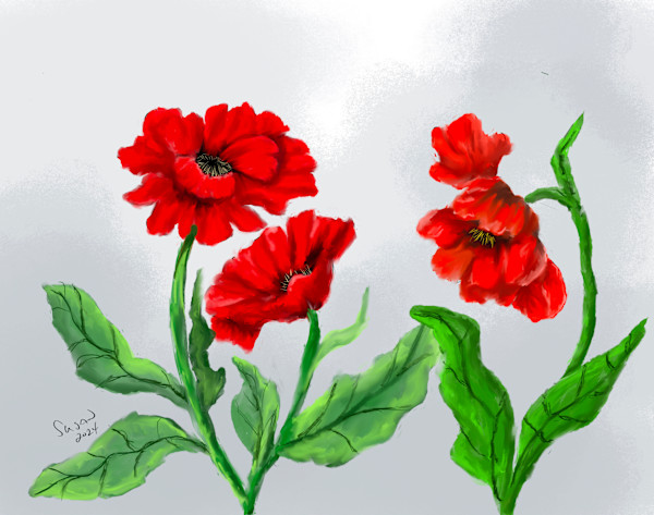 Dancing Poppies by Susan Reich