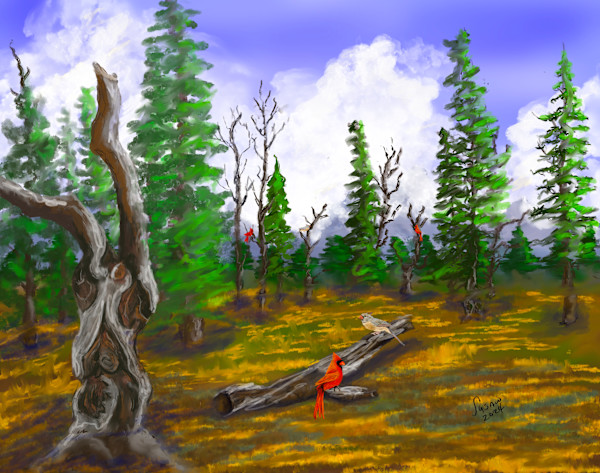 Dead Tree Meadow by Susan Reich
