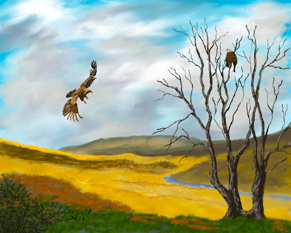 Eagles Roost by Susan Reich