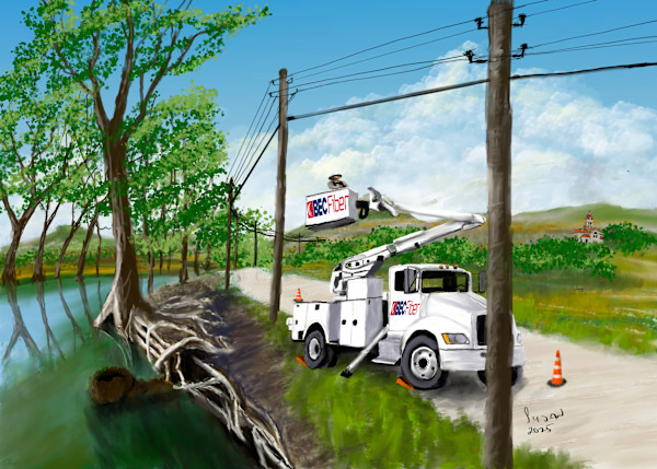 BEC FIBER by Susan Reich