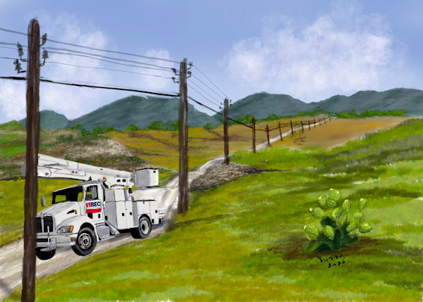 BEC HILL COUNTRY by Susan Reich