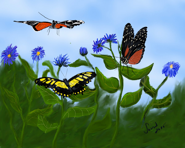 Butterflies Forever by Susan Reich