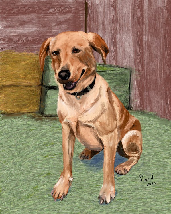 Sladen Dog by Susan Reich