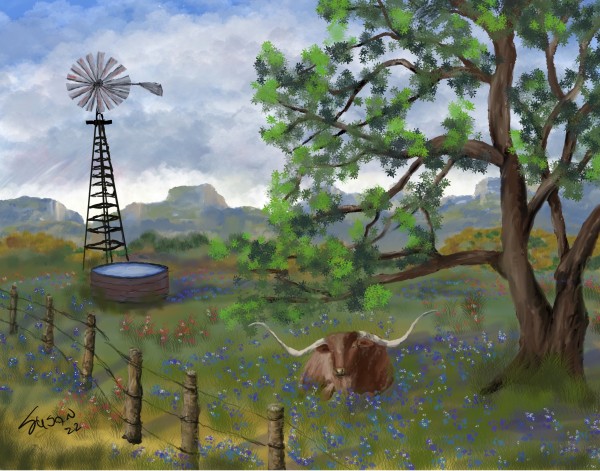 Longhorn and Bluebonnets by Paintings by Susan