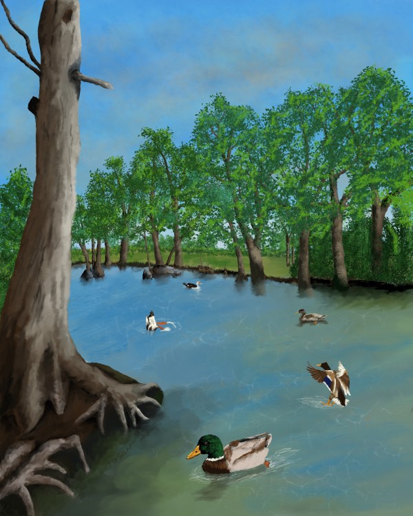 Medina River by Paintings by Susan
