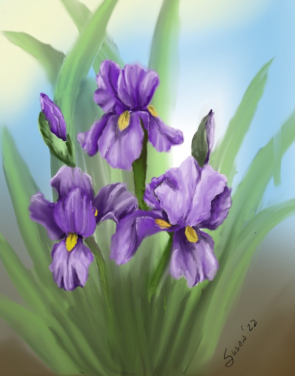 Purple Iris by Paintings by Susan