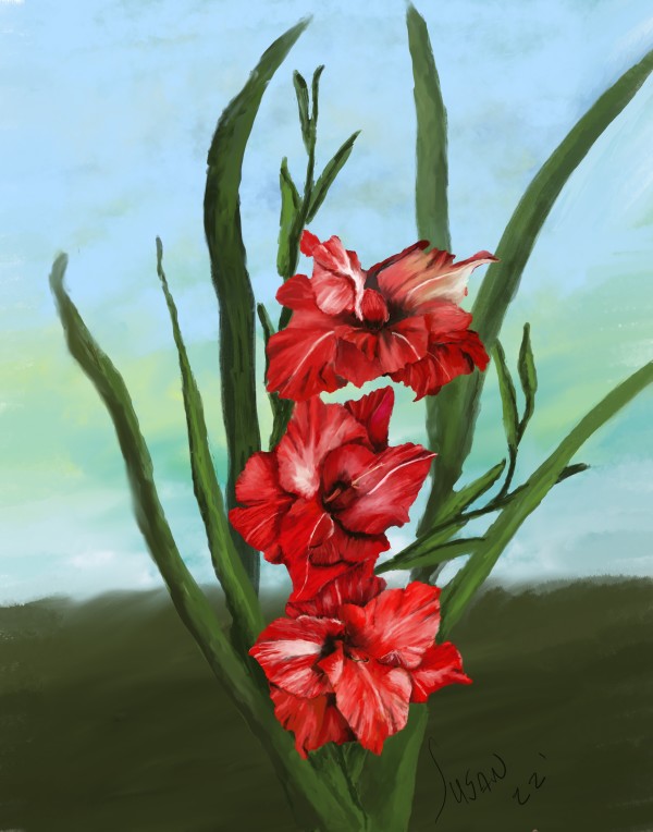 Red Gladiolus by Paintings by Susan