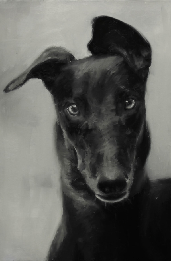 'Black Greyhound' by Ian Benjamin Griswold