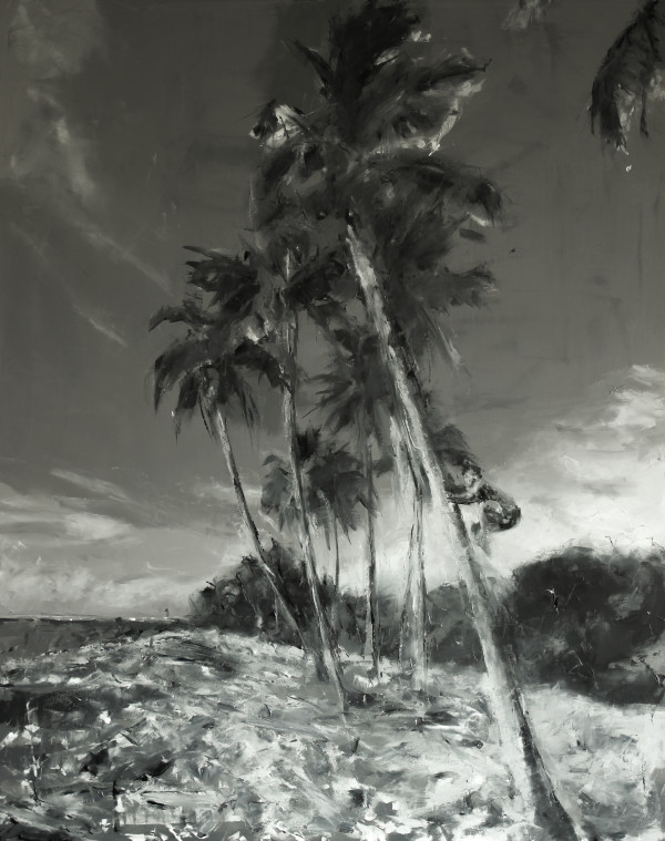 'Keawaiki Bay' by Ian Benjamin Griswold