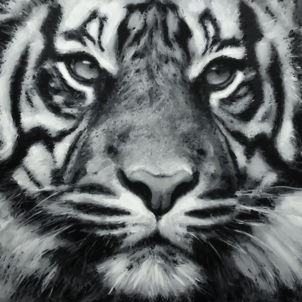 'Tiger One' by Ian Benjamin Griswold