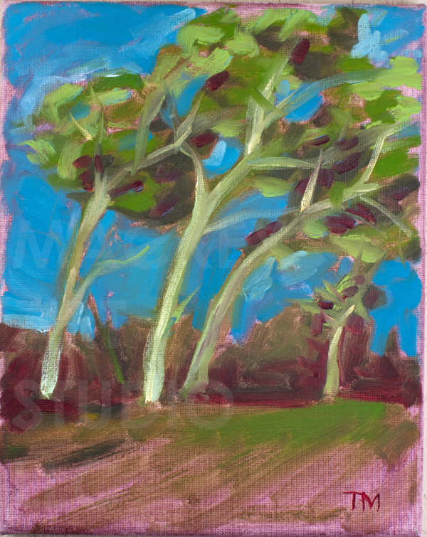 Trees Along The Highway by Tony Mackey
