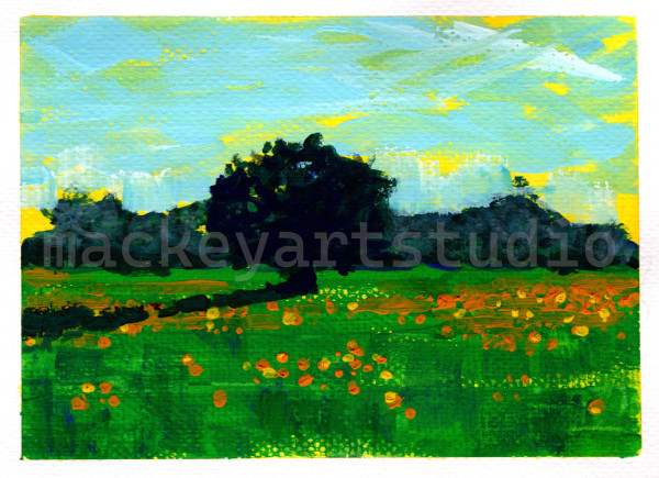 Fredericksburg Wildflowers #1 by Tony Mackey