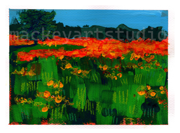Fredericksburg Wildflowers #2 by Tony Mackey