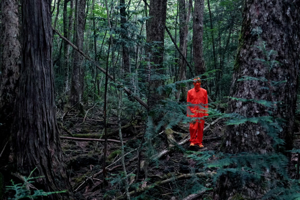 Aokigahara / The Sea of Trees by James Clar