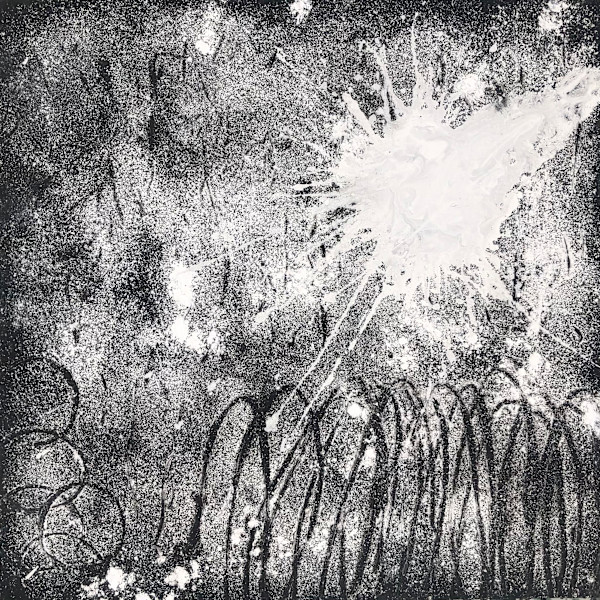 Nocturnal phenomena #2 by Margret Trimborn