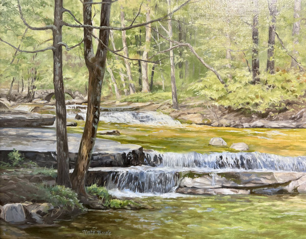 Stickney Brook Falls in Dappled by Kate Beetle