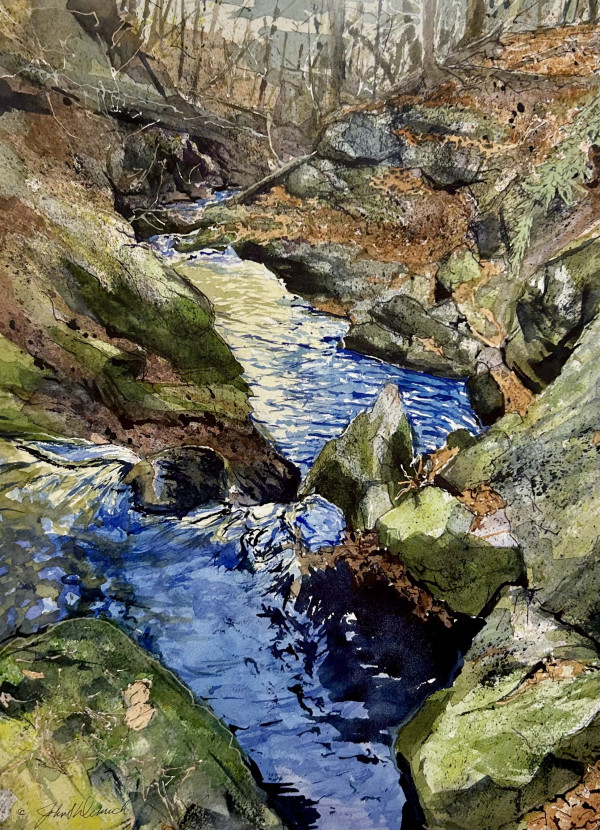 Sage Brook Ravine by John Dimick