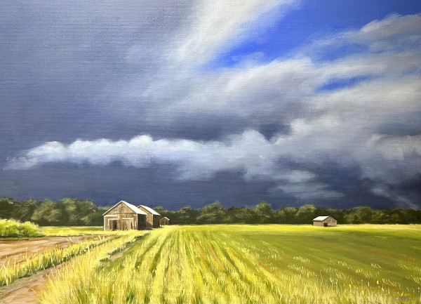 Storm Over Hatfield by Carol Gobin