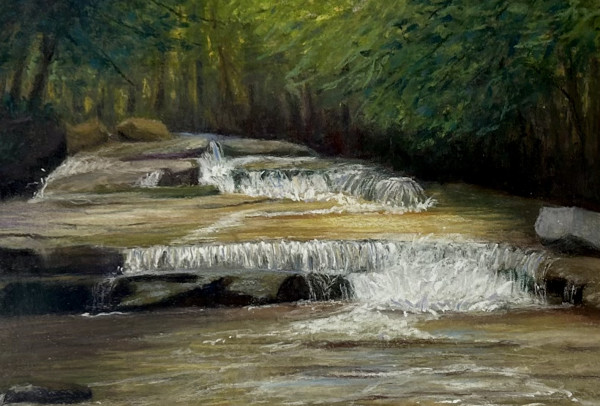 Spring Runoff by DeeDee Jones