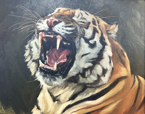 Amur Tiger by Julia Eva Bacon