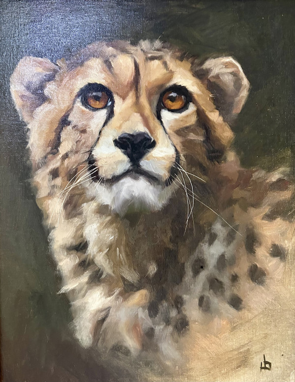 Cheetah by Julia Eva Bacon