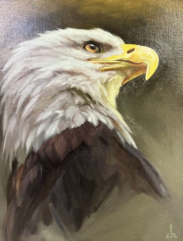Bald Eagle by Julia Eva Bacon