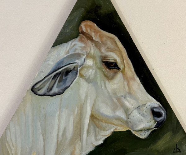 Brahman Bull by Julia Eva Bacon