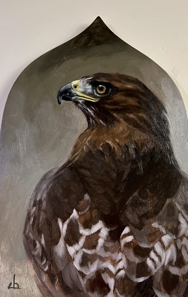 Red-Tailed Hawk by Julia Eva Bacon
