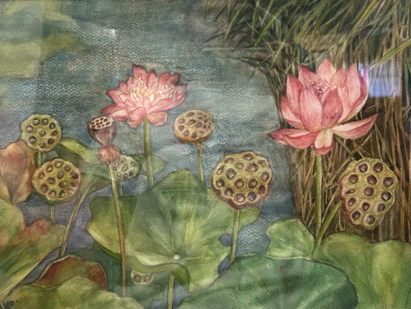 Lotus Among Reeds #2 by Kim Eng Yeo