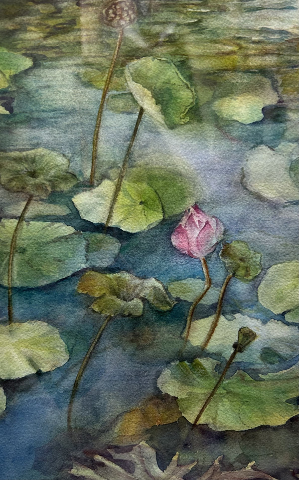 Lotus Pond #11 by Kim Eng Yeo