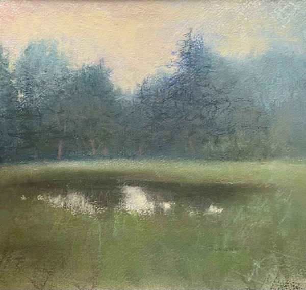 Janen's Pond by Charles Townsend