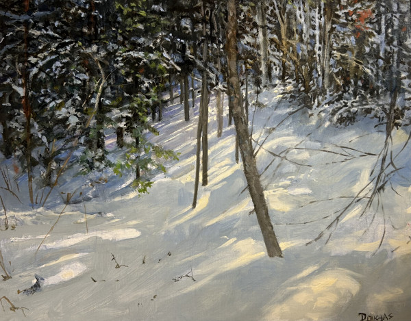 Breaking Light on Snow by Douglas Beekman