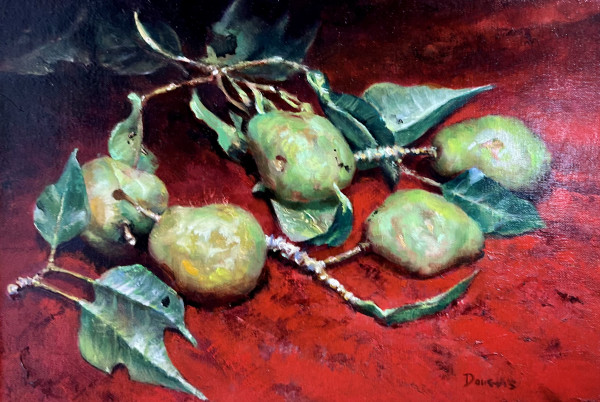 Pears by Douglas Beekman