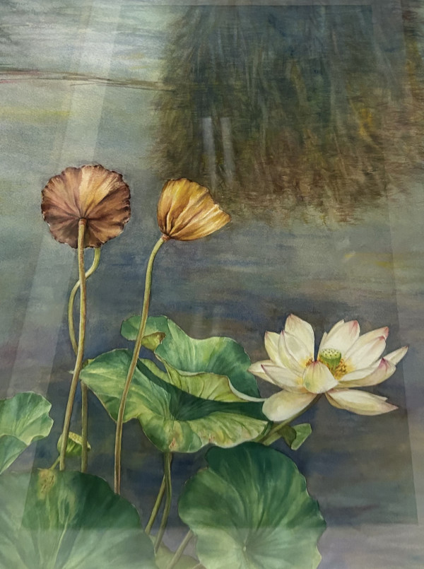 White Lotus #1 by Kim Eng Yeo