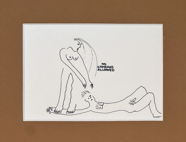 No Cameras Allowed by Randi Trinka