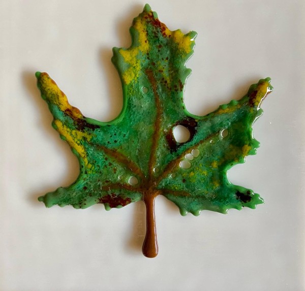Fallen Leaves Series - Green Maple by Cindy Cherrington